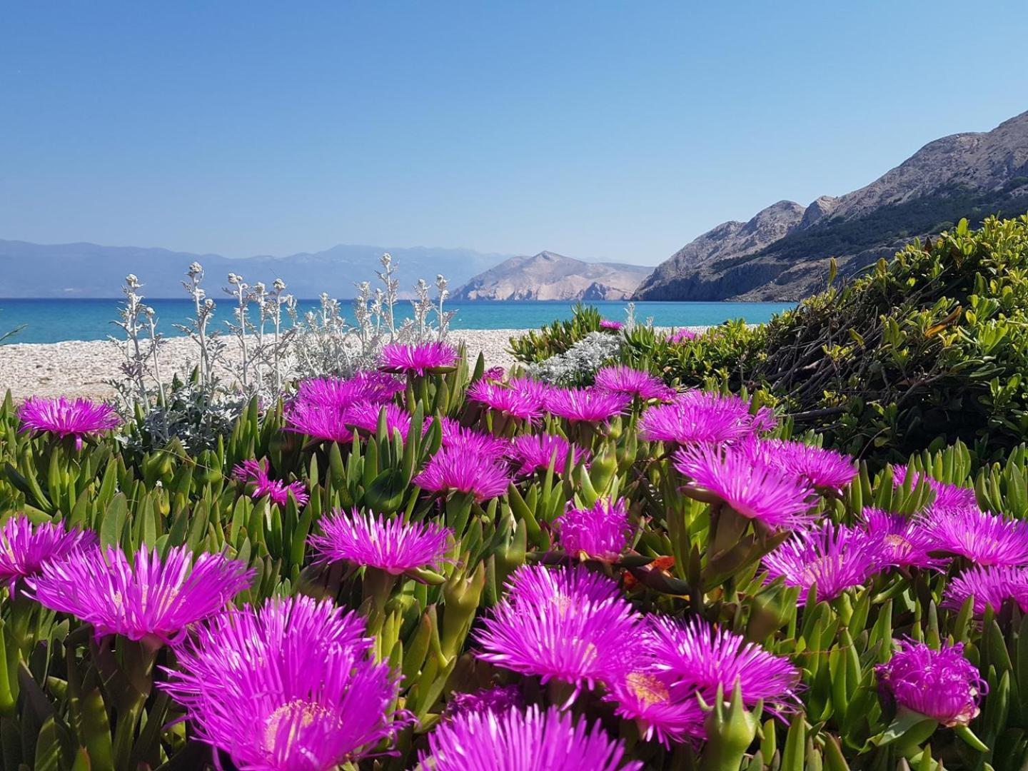 Sunshine Residence Baska 2 Dış mekan fotoğraf